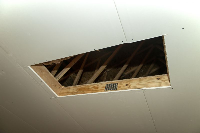Attic Water Damage Repair in Charleston, SC