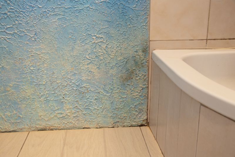 Bathroom Floor Replacement in Denver County, CO