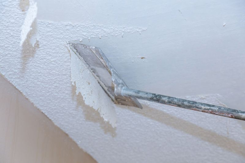 Ceiling Removal Service in Alpharetta, GA