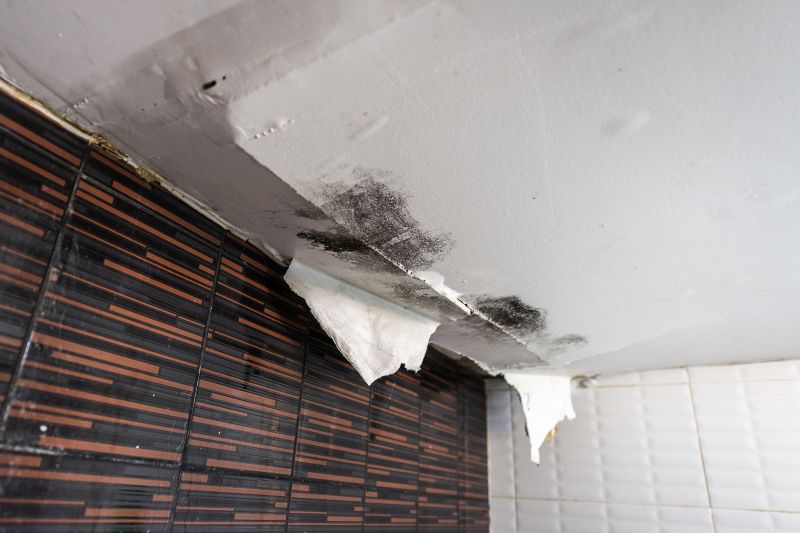 Leaking Ceiling Repair in Denver County, CO