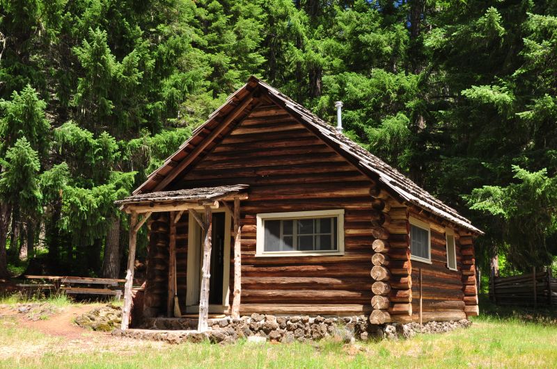 Log Home Repair in Littleton, CO