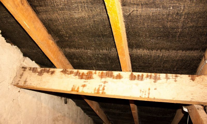 Water Damage Ceiling Repair in Conroe, TX