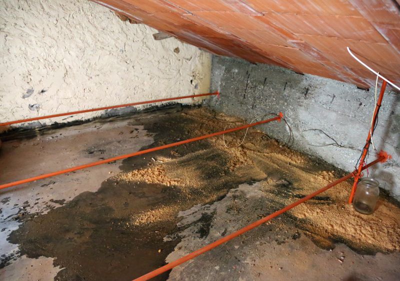 Water Damage Ceiling Repair in Charleston, SC